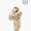 Buy Jedi mind fuck mushrooms for sale