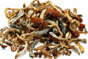 Buy Magic Mushrooms USA